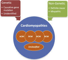 Current Perspectives On The Diagnosis And Management Of Dilated Cardiomyopathy Beyond Heart Failure A Cardiomyopathy Clinic Doctor S Point Of View Sciencedirect