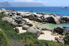 Als von der statistik erfasster ort (main place) hatte. Die Schonsten Strande In Kapstadt Mit Strand Guide Geheimtipps Madiba De