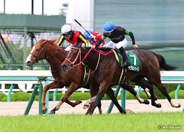 The naruo kinen (in japanese: é³´å°¾è¨˜å¿µ ä¸­äº¬é–‹å‚¬ã®ä»Šå¹´ã‚‚æ³¨ç›®ã¯æ–°æ½Ÿã‹ã‚‰å‚æˆ¦ã™ã‚‹é¦¬ ç«¶é¦¬ãƒ‹ãƒ¥ãƒ¼ã‚¹ ç«¶é¦¬ãƒ©ãƒœ