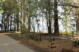The park has 8,255 feet of sa. Birch Bay State Park Blaine Wa For More Information On Flickr