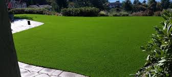 Refers business to our websites provides advantageous pricing Artificial Grass Cost Installation Guide For 2021 Earlyexperts