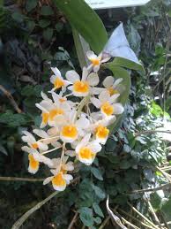 Trouvez votre annonce de jardins d'occasion à vendre ou acheter à royan (17) parmi nos débarras jardins occasions sur paruvendu mondebarras. Jardins Du Monde Royan Home Facebook