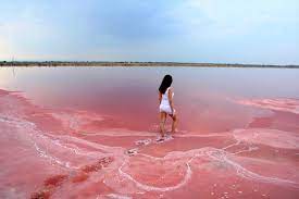 Just a quick one if you're wondering how a pink lake is formed ⇒if you're wondering whether you can swim in a pink lake, there's no reason why you can't but most pink lakes in australia are off limits as the locals are trying. Lake Hillier The Stunning Pink Lake In Western Australia The Backpackers