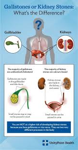 Pin On Human Anatomy Organs