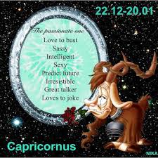 Zodiac And Birth Month Jewels Art Creation Zodiac Signs Funny Star Signs Capricorn