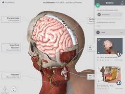 Other anatomy apps do not offer the ability to share content and have fewer tools with which to dissect and. 8 Best Ios Anatomy Apps As Of 2021 Slant