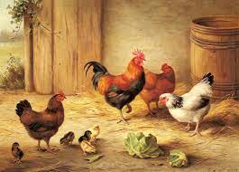 Poultry Cross Stitch Pattern Pdf Format Etsy 2020 Resim Hayvan Resimleri Hayvan