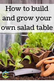 How To Build And Grow Your Own Salad Table Living On The Cheap Frugal Recipes Healthy Herbs Healthy Eating Recipes