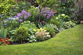 There are factors to consider such as placement in the garden, and proximity to other plants. How To Choose The Best Plants For Your Garden Gardening From House To Home Low Maintenance Landscaping Backyard Landscaping Landscaping Plants