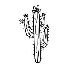 Boceto De Cactus Flor Espina Descargar Png Svg Transparente Cactus Flower Cactus Drawing Cactus