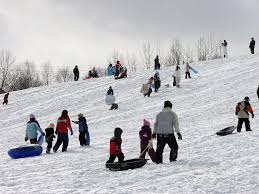 A brief break in the windy and snowy morning at Bellevue Park last  Thursday, December 12, 2024.