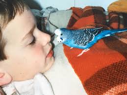 A Loveless Marriage I Can't Escape