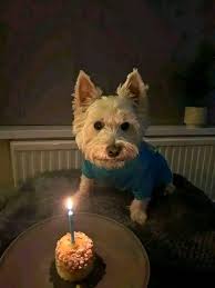 Happy 17th birthday to my queen Megan , your just full of love 🥰