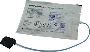 Caed participants should upgrade to the caed program, 2016 version, by downloading the software along with the release notes from the main page of canadian automated export declaration (caed). Corpatch Easy Pre Connected Defi Elektroden Paar Fur Corpuls Ci C 3 Slim Und Caed