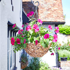 We did not find results for: Smart Garden Deco Faux Rattan Hanging Basket 14 Rattan Hanging Baskets Webbs Garden Centre
