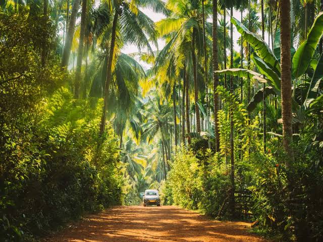 Chorao Island: The island life in Goa you need to experience, Goa ...