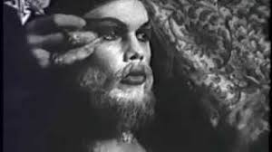 Collection Rotation: Fayette Hauser : Open Space