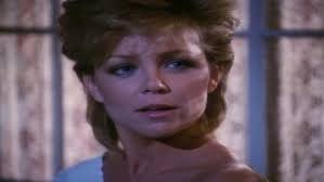 Knots Landing: Season 6, Episode 3