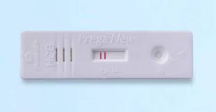 How to use pregnancy test kit in hindi. Prega News Kaise Use Kare à¤ª à¤° à¤— à¤¨ à¤¯ à¤œ à¤• à¤¸ à¤¯ à¤œ à¤•à¤° Prega News Pregnancy Test Kit
