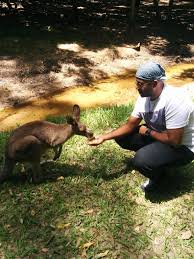 Pin On Holiday With A Kangaroo