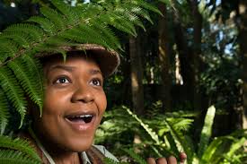 Review: 'As You Like It' puts audiences under a spell in Asolo Conservatory  production