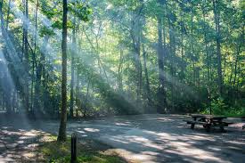 Davidson river campground is beautiful. Davidson River Campground Home Facebook