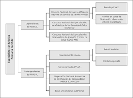 Se disponen los datos epidemiológicos provenientes del ministerio de salud (minsal) y datos de otras fuentes, documentados y abiertos para el análisis de la comunidad, en concordancia con la ley nº. Especializacion Medica En Chile Tipos Mecanismos Y Requisitos De Postulacion Una Actualizacion De Los Procesos Para Los Medicos Generales