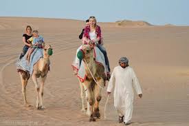 Camels are known as the ship of the desert in view of the straightforwardness at which they exquisitely move over the desert sands. Morning Red Desert Safari With Camel Ride Dubai 2021