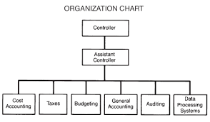 Organization Chart Barrons Dictionary Allbusiness Com