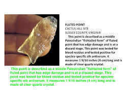 Cactus hill site has human remains that have been dated to around 20,000 years ago. Cactus Hill Va Archaeological Site Ppt Download