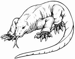 Komodo Dragon Coloring Page Awesome Komodo Dragon Animal Reports Pinterest Dragon Coloring Page Komodo Dragon Komodo