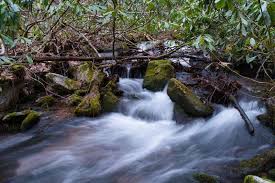 No part of this website may be reproduced, published, distributed, displayed, performed, copied or stored for public or private use without written permission from the eastern band of cherokee indians. Standing Indian Nantahala Headwaters Loop Hiking Trail Franklin North Carolina