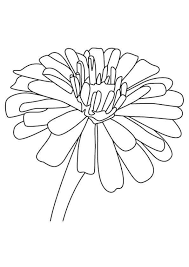 Three pages of adorable fish for art and play. Various Type Of Flower Coloring Pages Free Coloring Sheets Flower Drawing Flower Coloring Pages Coloring Pages