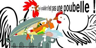Dessin Non Le Poulailler N Est Pas Une Poubelle Poule Poulailler Nourriture