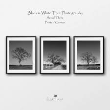 Large Black And White Framed Prints Tree Landscape Photography Prints Modern Farmhouse Decor Etsy Rustic Nursery Wall Art Rustic Nature Decor Landscape Photography