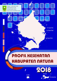 Download mp3 kes pembuangan bayi dan video mp4 gratis. Https Dinkes Ppkb Natunakab Go Id Wp Content Uploads 2019 11 Profil Kesehatan Natuna 2018 Pdf