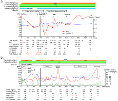 Clinical Charts Of The Patients A Clinical Chart Of The