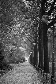 In The Garden Of Beasts Country Roads Garden Photography