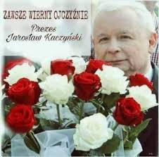 Jesteśmy z tobą prezesie kaczyński !!! Bekazpisu Macie Jakies Gowno Obrazki Grazyna F T Wykop Pl