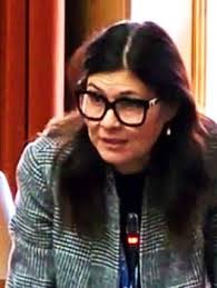 Political opinion with Cllr Alison Cornell: Questions from the public?