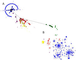 Signatures Of Negative Frequency Dependent Selection In Colonisation Factors And The Evolution Of A Multi Drug Resistant Lineage Of Escherichia Coli Biorxiv