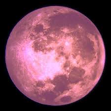 The farmer's almanac identifies several 'named moons' the pink moon among them. Celebrating The Seasons April Full Moon Full Moon In Scorpio Pink Moon Moon Full Moon
