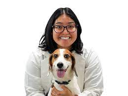 We are open 7 days a week, including all holidays. Honolulu Vets At Vca University Animal Hospital