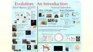Gizmo answer key limiting reactants pdf come with us to read a new book that is coming recently. What Is Artificial Selection In Evolution