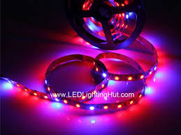 Individualizing colors in led lights for christmas displays was a breakthrough for greenhouses and indoor gardeners. 5m Red Blue Led Grow Plant Flexible 5050 Led Strip 12v