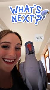 I make a birthday cake for Steve that just look like 🦍🍩🦛