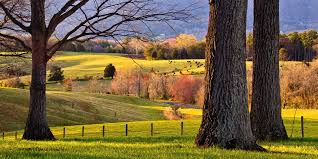 Experience Charlottesville Albemarle Scenic Equestrian Estate