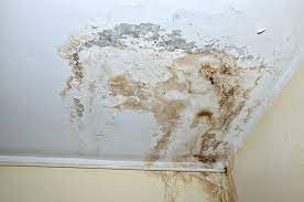 Visit innovative dehumidifiers to learn more about humidity and what causes mold growth in apartments. Top 6 Causes Of Mold In Your Home
