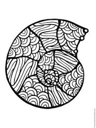 For example, a mollusk, from the moment it is born, begins to build its small fortress. Seashell Coloring Pages 1 1 1 1