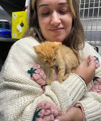 Any name ideas for a 5 week old cat?